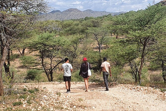 Private Guided Walking Tour with the San in Windhoek - What the two-hour Bushman Walk includes