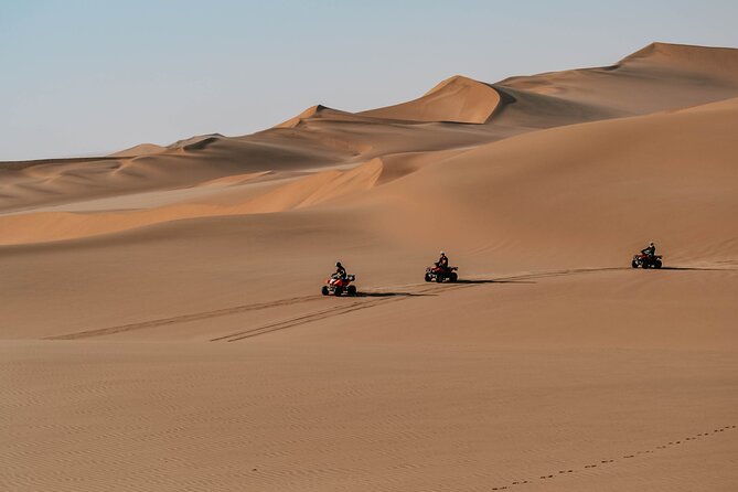 Quad Bike Tour (90min) - Who will enjoy this tour most