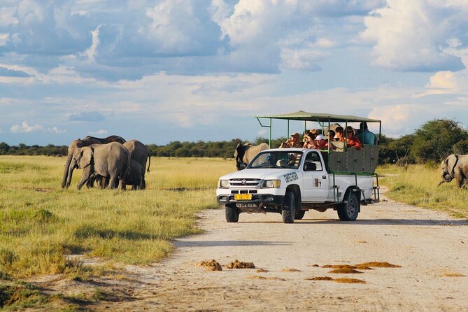 Safari in Etosha national park with professional tour guides born in Etosha. - Cold mornings, water, and practical comfort