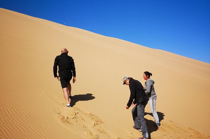 Sandwhich Harbour Dune 4x4 Half day - Who should choose this 4x4 outing?
