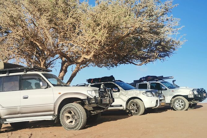 Sandwich Harbour 4X4 Excursion Tour Food and Drinks - Sandboarding and optional photo extras