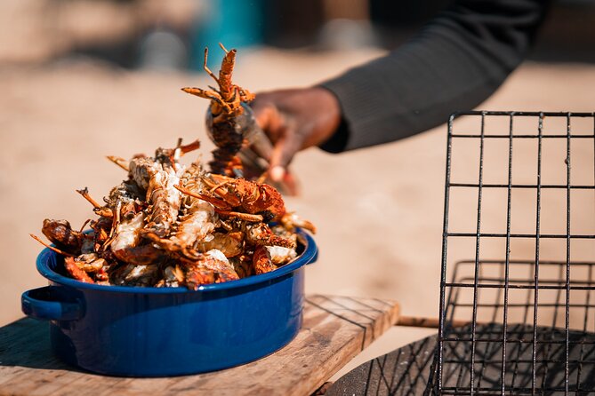 Sandwich Harbour 4x4 Half Day Experience with Beach Braai - What the price includes, and what it does not