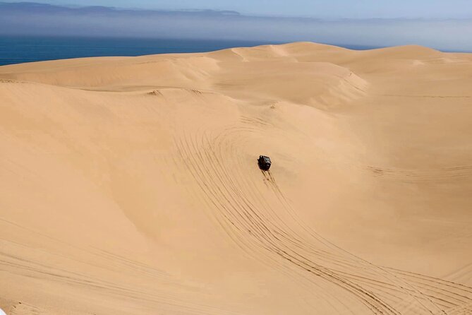 Sandwich Harbour 4x4 Tour - Why Sandwich Harbour is worth the short ride from Swakopmund