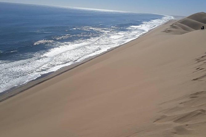 Sandwich Harbour Adventure: Seals and Sandwich harbour dune drive - From Swakopmund to Walvis Bay’s bird-filled water