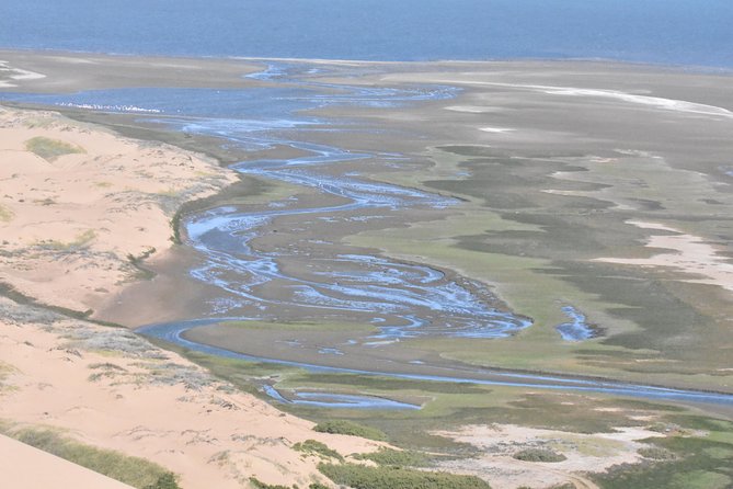 Sandwich Harbour Adventure: Seals and Sandwich harbour dune drive - Guides, group size, and the comfort question
