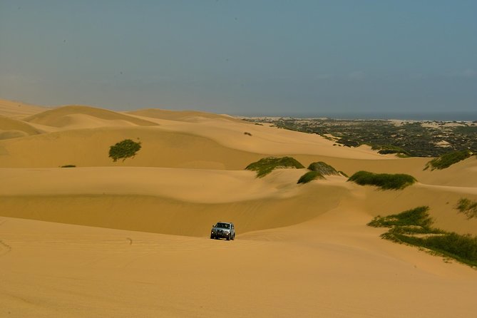 Sandwich Harbour Guided, Self-Drive Tour - Seeing dunes meet the Atlantic