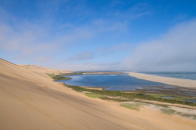 Sandwich Harbour Half Day Excursion - Is $155.84 a fair price?