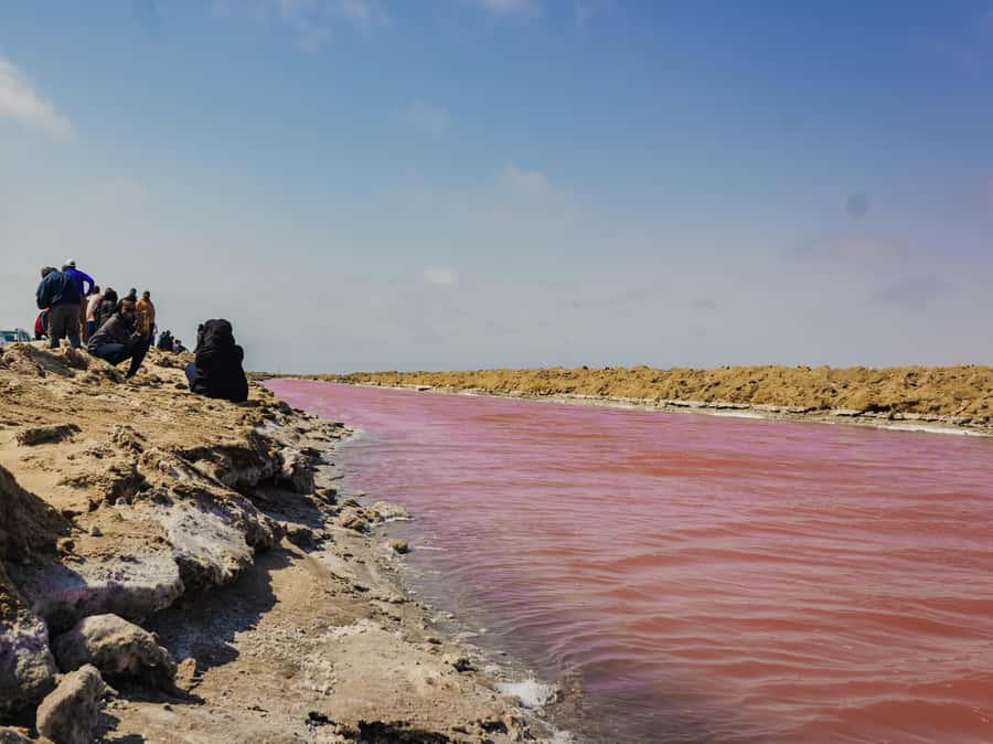 Sandwich Harbour Half Day Tour - From Walvis Bay Waterfront to open sand