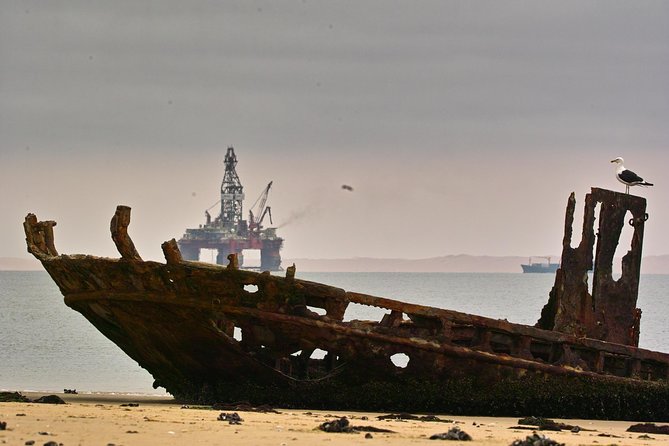 Sandwich Harbour & Pelican Point Full Day Tour - The Namib Desert and the Picnic Lunch