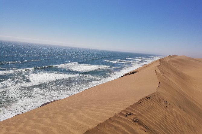 Sandwich Harbour Scenic Excursion - Design for the Cruise Ships - A picnic lunch in a sheltered dune valley
