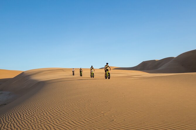 Scenic Desert Tour by Bike - Starting at the Atrium Building in Swakopmund