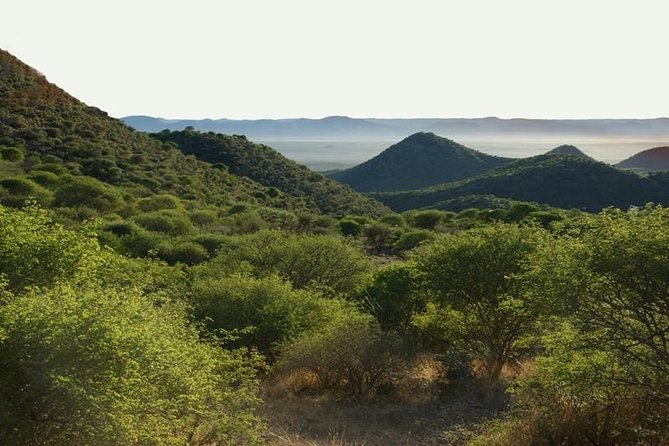 Scenic Game Drive Activity - A game drive across the farm