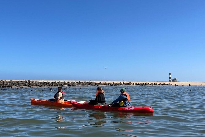 Seal Kayaking at Pelican Point from Swakopmund - Key points about kayaking at Pelican Point