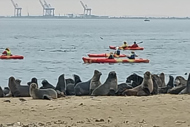 Seal Kayaking at Pelican Point from Swakopmund - The road from Swakopmund to Walvis Bay