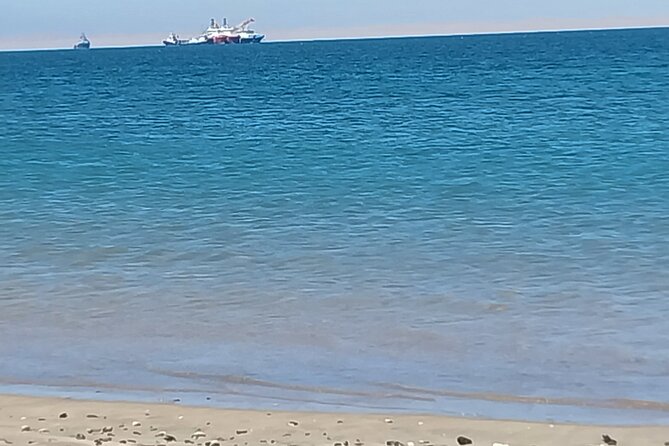 Seal Kayaking at Pelican Point from Swakopmund - What happens if sandstorms cancel the paddle