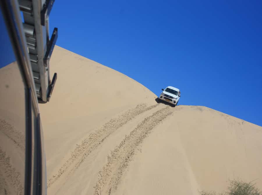 Self-Drive Guided Tour to Sandwich Harbour - Wildlife and the Kuiseb River Delta