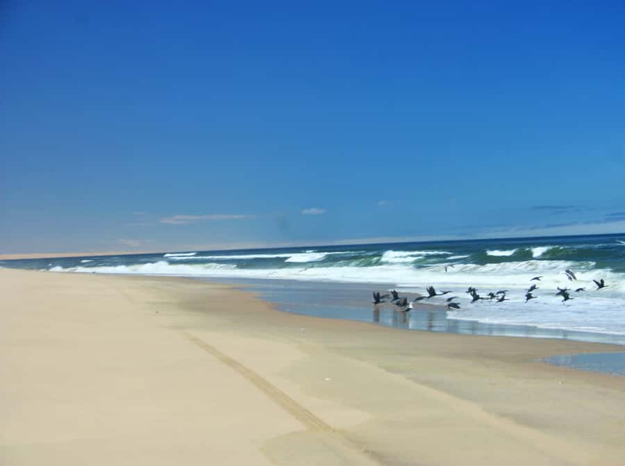 Self-Drive Guided Tour to Sandwich Harbour - A Practical Morning in the Namib