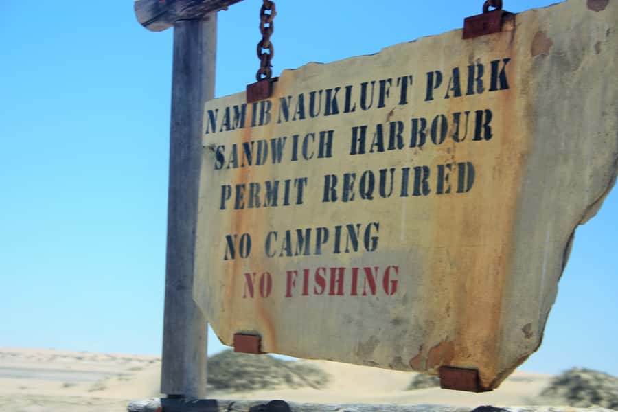 Self-Drive Guided Tour to Sandwich Harbour - Flamingos at Walvis Bay Lagoon