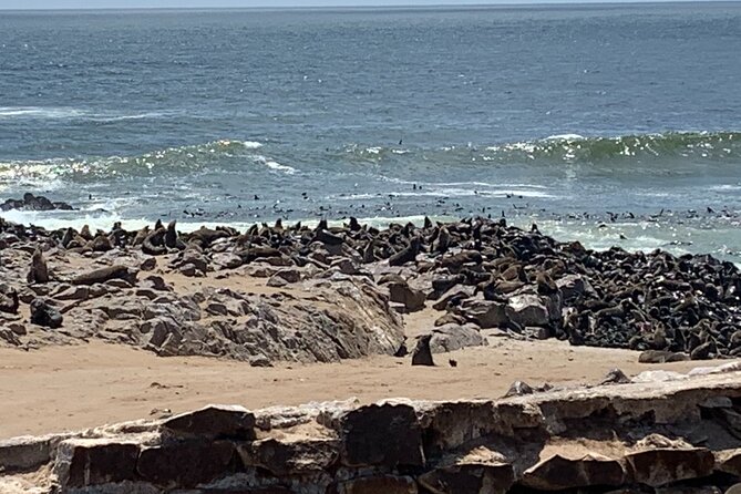 Skeleton Coast Cape Cross Seal colony Tour - Henties Bay for fuel and a light meal