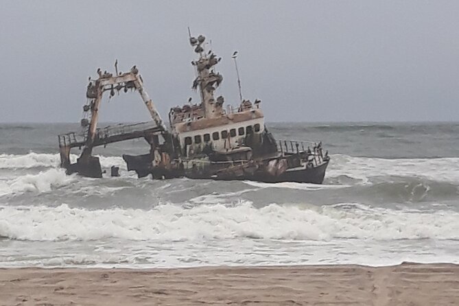 Skeleton Coast Cape Cross Seal colony Tour - Cape Cross and the seal colony