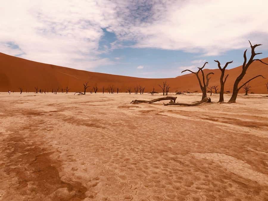 Sossusvlei: Day Trip - Why this Sossusvlei day trip works