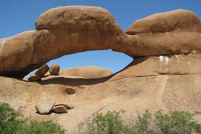Spitzkoppe - Day Tour to the Spitzkoppe Mountain from Swakopmund - Desert plants and birdlife around the rocks