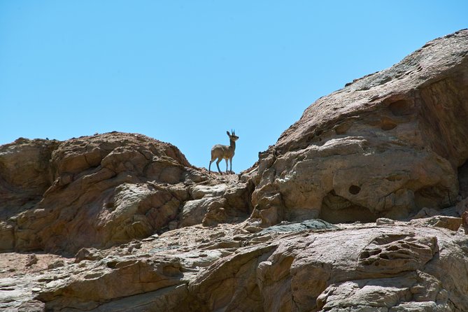 Swakop River Valley & Spitzkoppe Full Day 4x4 tour from Walvis Bay - Why Spitzkoppe makes this Walvis Bay day trip special