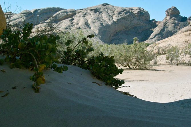 Swakop River Valley & Spitzkoppe Full Day 4x4 tour from Walvis Bay - Starting in Walvis Bay with a small group
