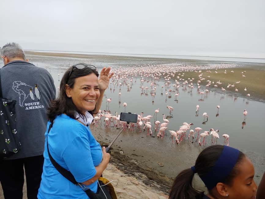 swakopmund city tour dune 7 pink lake pink flamingos - Who should book this experience?