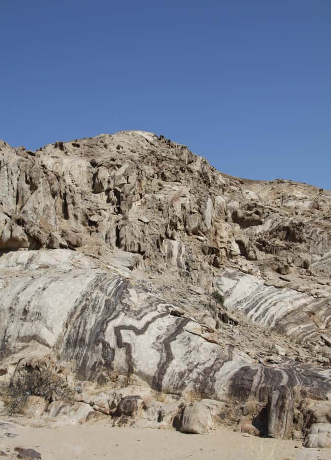 Swakopmund: Moon Valley and Namib Desert Welwitschia Tour - Looking for springbok, ostrich, and tiny desert life
