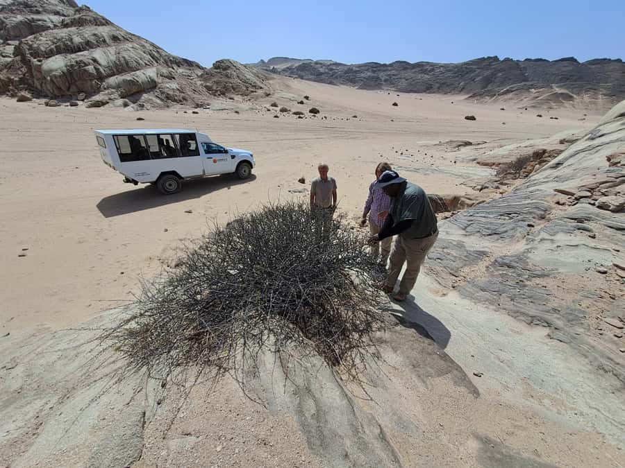Swakopmund: Moon Valley and Namib Desert Welwitschia Tour - The secret stop and the value of a small group