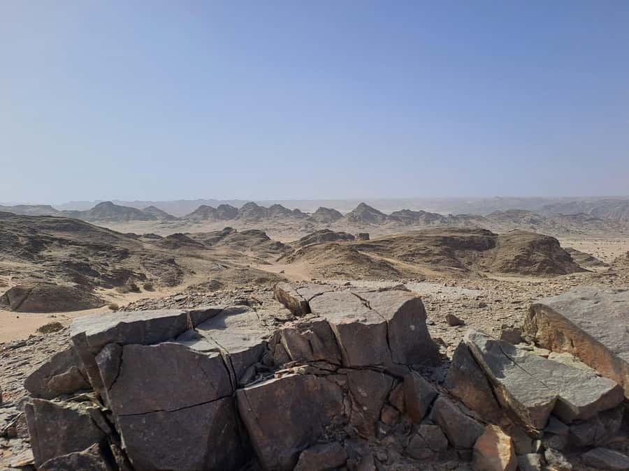 Swakopmund: Moon Valley and Namib Desert Welwitschia Tour - Is $57 a fair price?
