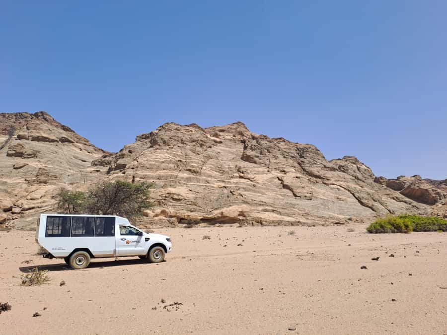 Swakopmund: Moon Valley and Namib Desert Welwitschia Tour - Booking details to know before you go