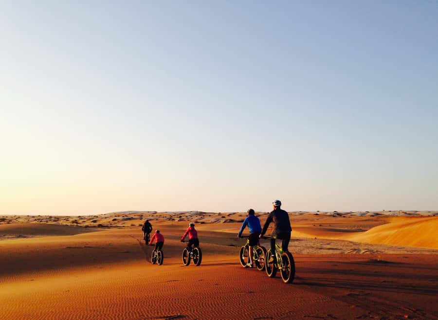 Swakopmund: Scenic Desert Bike Tour - Key points to know before you ride