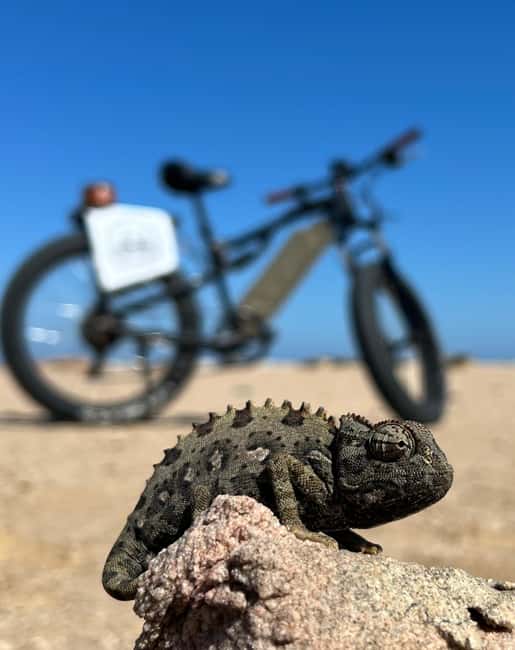 Swakopmund: "UP CLOSE" Living Desert E-FatBike Tour - Key points at a glance