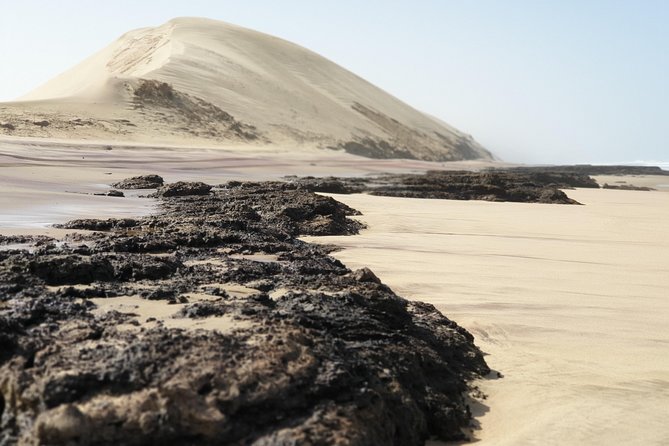 Tour to Sandwich harbour - From Walvis Bay to the edge of the Namib
