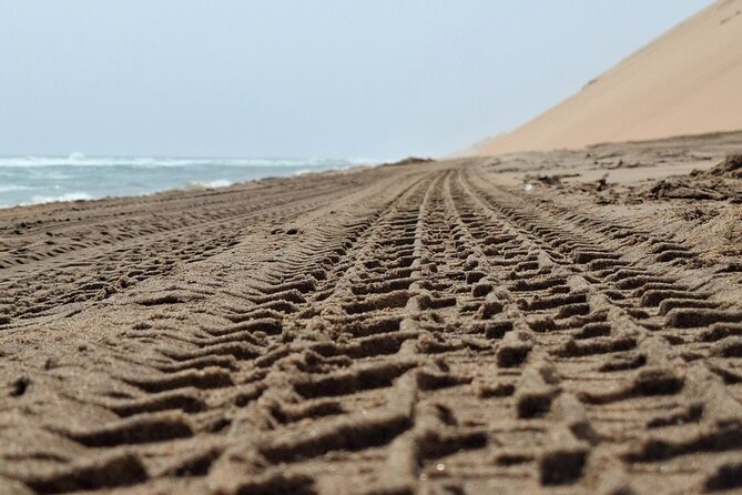 Unforgettable Half Day Adventure, Explore Sandwich Harbour - Price, timing, and cancellation in plain terms