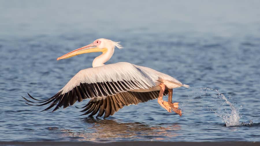 Walvis Bay and Sandwich Harbour Tour - The narrow passage and the first great view