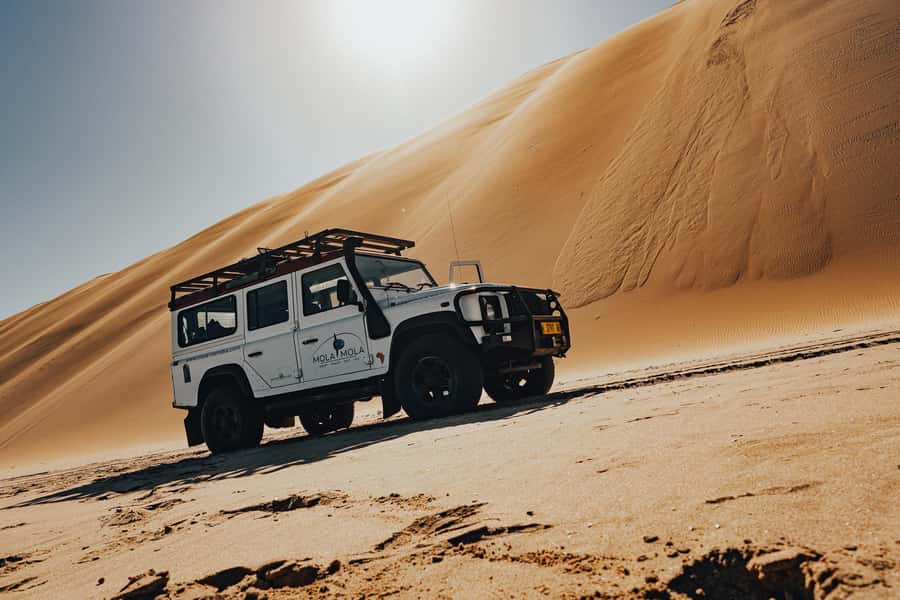 Walvis Bay: Dolphin Cruise, Pink Lakes and 4x4 Dune Drive - A short waterfront pause before the 4x4 drive