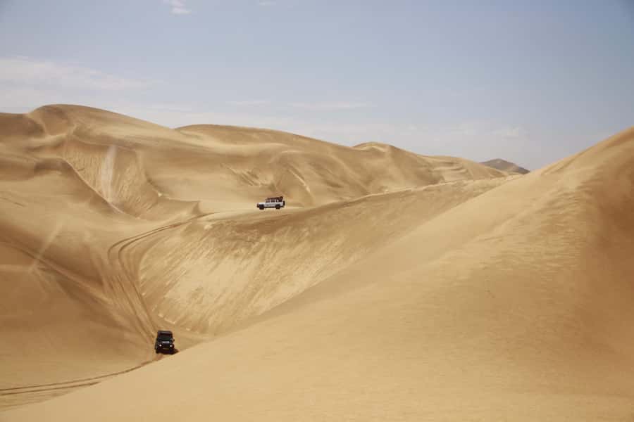 Walvis Bay: Dolphin Cruise, Pink Lakes and 4x4 Dune Drive - Flamingos and the 3500-hectare pink salt pans
