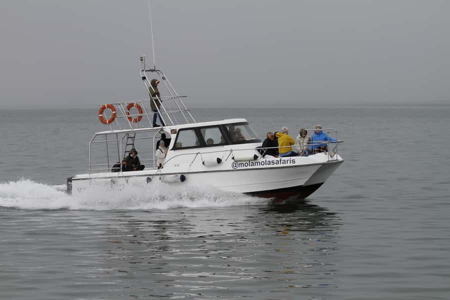 Walvis Bay: Dolphin Cruise, Pink Lakes and 4x4 Dune Drive - Practical tips for a smoother outing