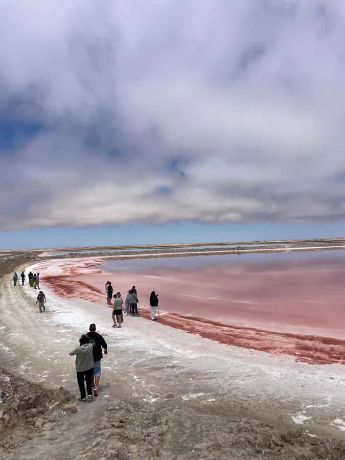 Walvis Bay: Half-Day Tour with Dune 7 and Pink Lake - Climbing Dune 7 near Walvis Bay