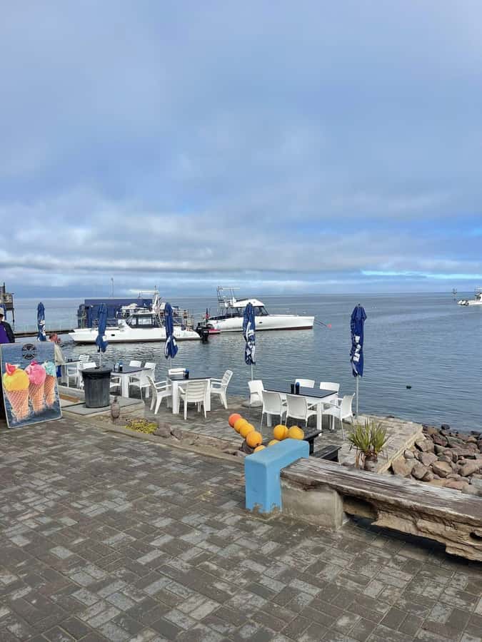 Walvis Bay: Half-Day Tour with Dune 7 and Pink Lake - Who will get the most from this tour