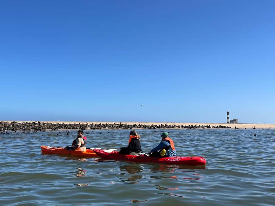 Walvis Bay: Kayaking and Sandwich Harbour Full-Day Tour - Key points to know before booking