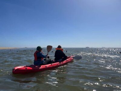 Kayaking and Sandwich Harbour Full-Day Tour