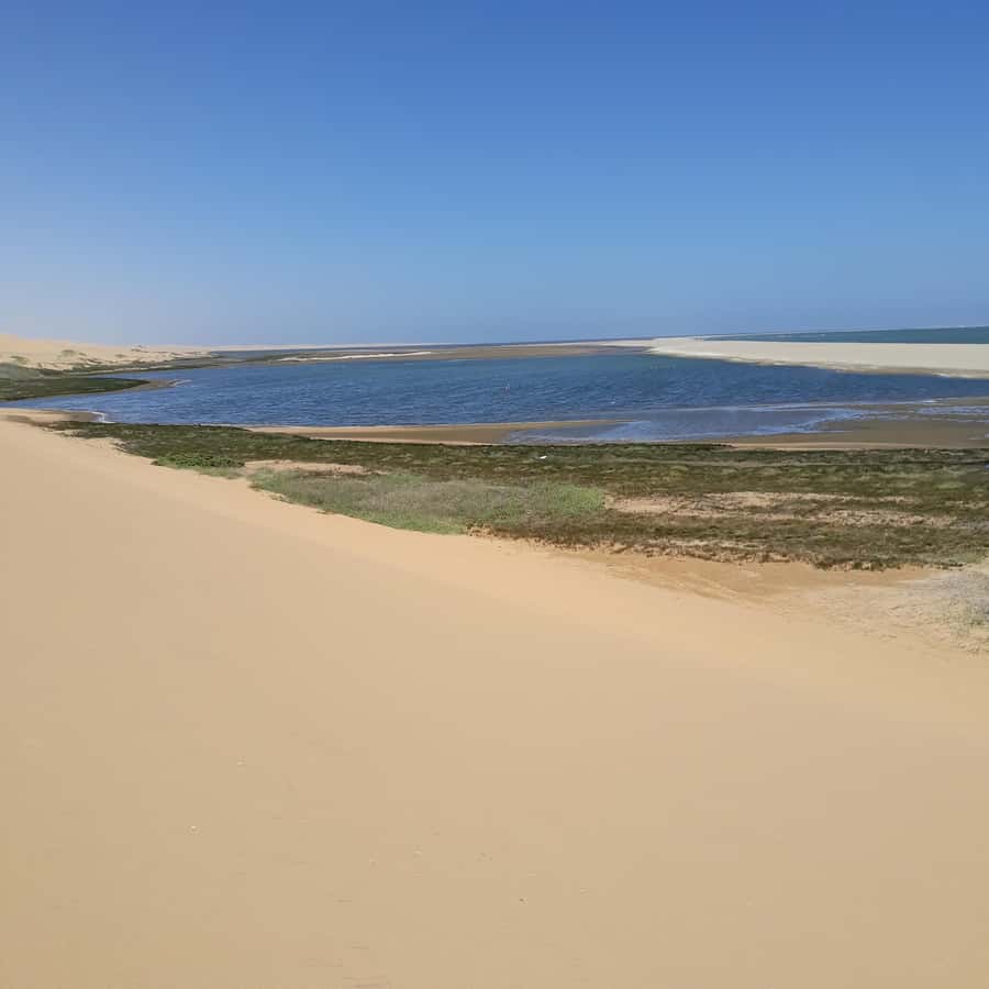 Walvis Bay: Kayaking and Sandwich Harbour Full-Day Tour - Brunch by the coast, then inland toward the !Nara Valley