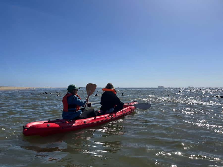 Walvis Bay: Kayaking and Sandwich Harbour Full-Day Tour - Walvis Bay Lagoon and the salt ponds