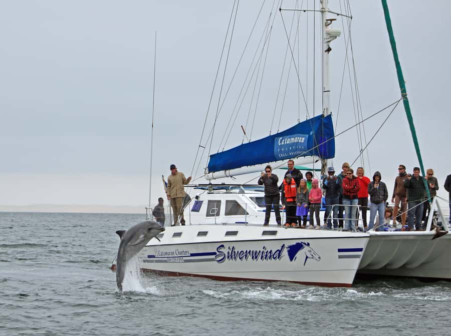 Walvis Bay: Marine Big 5 Luxury Catamaran Tour - The catamaran, crew, and onboard comfort