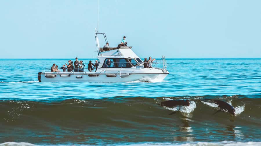 Walvis Bay: Namibian Coast Dolphin Cruise with Light Lunch - Practical details before you board