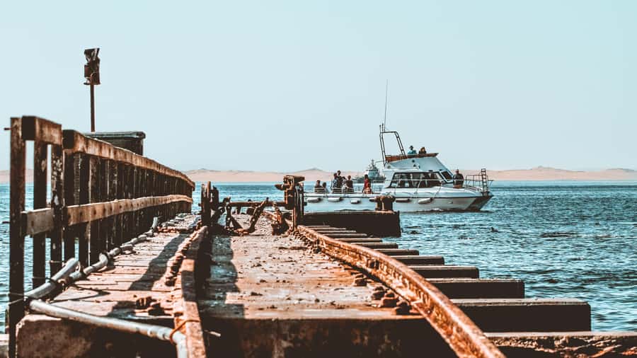 Walvis Bay: Namibian Coast Dolphin Cruise with Light Lunch - Should you book the Walvis Bay Dolphin Cruise?
